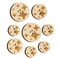 Twinkling Stars Glitter Shimmer Wood Buttons for Sewing Knitting Crochet DIY Craft